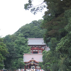 鶴岡八幡宮